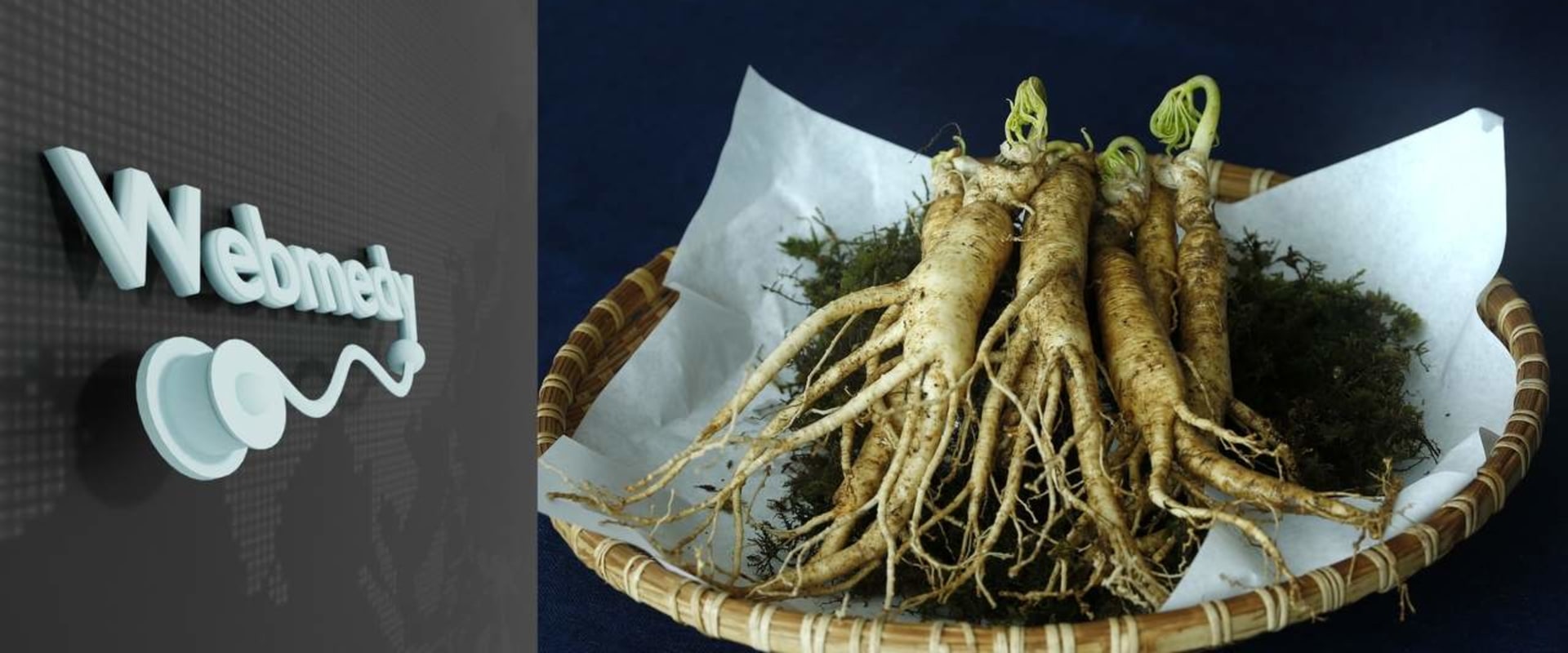 The Power of American Ginseng for Aging Adults