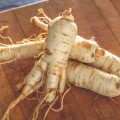 The Pros and Cons of Daily American Ginseng Use