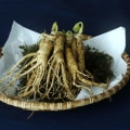 The Power of American Ginseng for Aging Adults