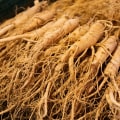 The Incredible Benefits of Ginseng: From Ancient Medicine to Modern Health