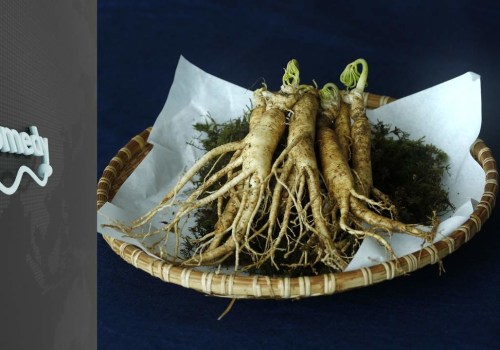 The Power of American Ginseng for Aging Adults